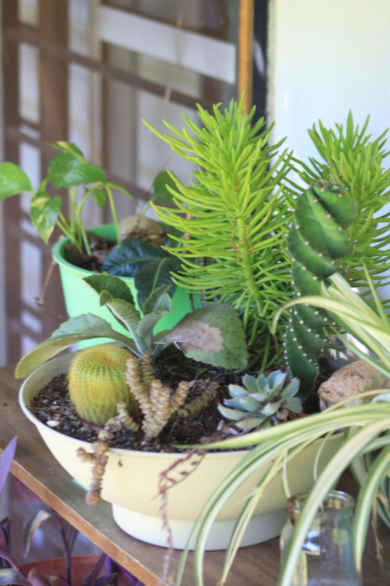 Oasis I Las Moras Con Cochera Y Jardin 라리오하 외부 사진